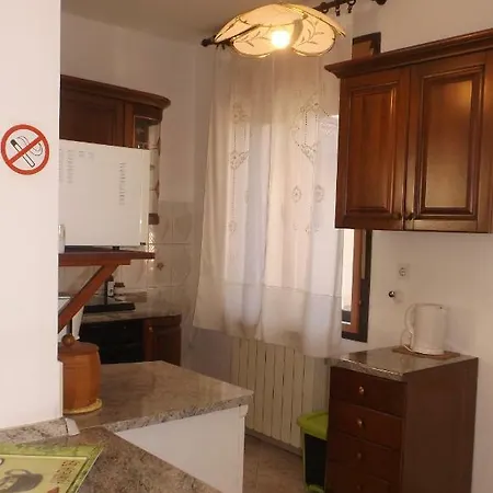 Family Laura Appartement Šišan